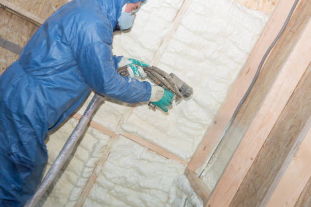 Best Attic Insulation Installation  in Oberlin, OH